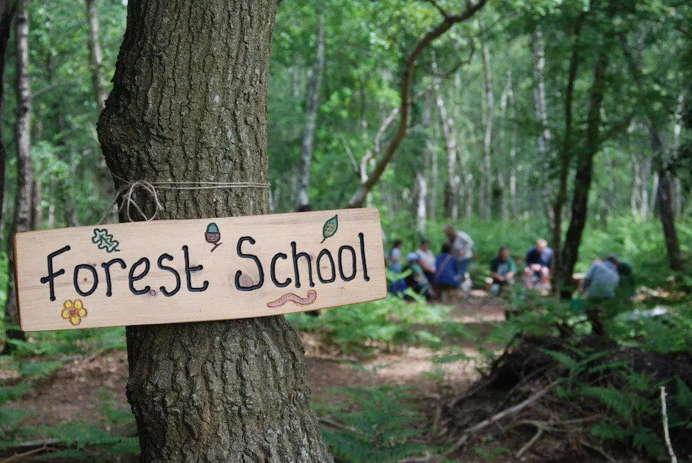 A Forest School sign in a tree with a group in the background