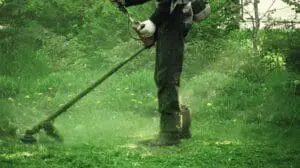 5 First Aid issues for Brushcutter / Strimmer Operators