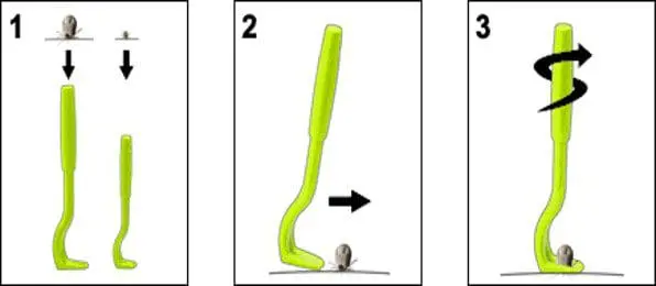 A diagram showing how to remove a tick with a tick-twister