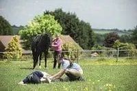 A person cheking an injured rider with a horse in the background.