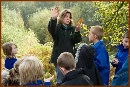 A Forest School leader with children in a woodland