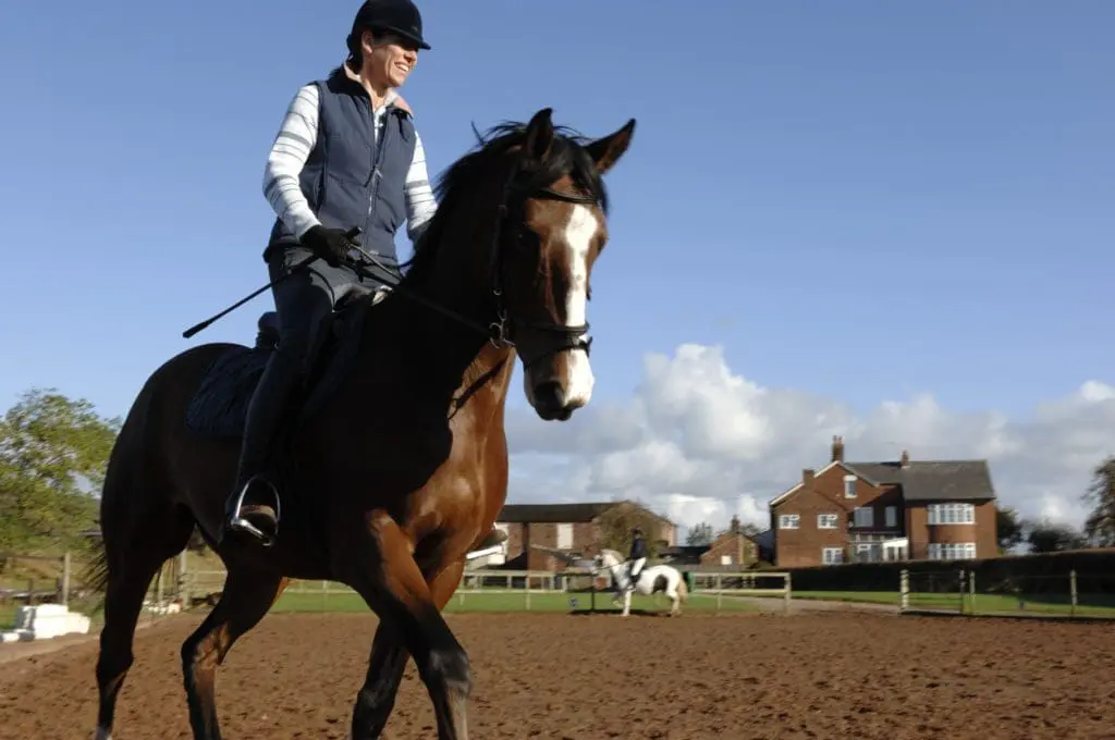 horse rider in an exercise yard on a bright sunny day