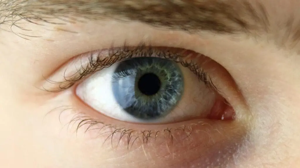 A close up of an eye