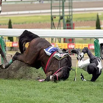 horse rider falling to the ground