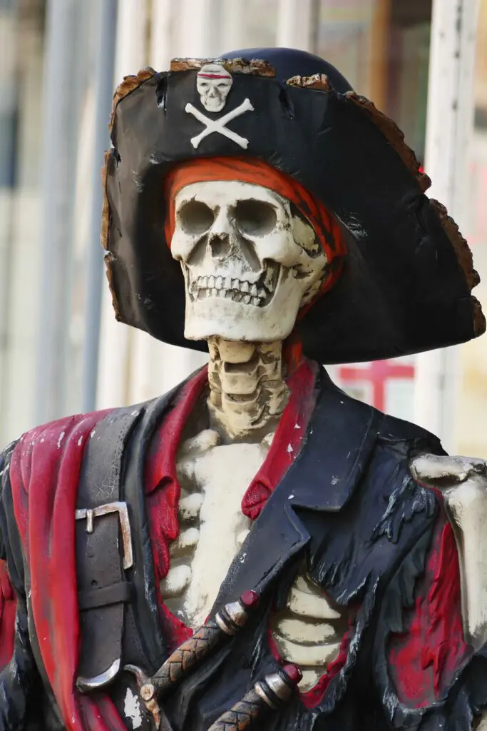 Pirate skeleton with a hat