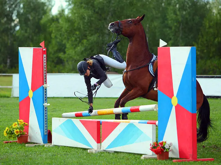 female horse rider falling from horse rearing at jump