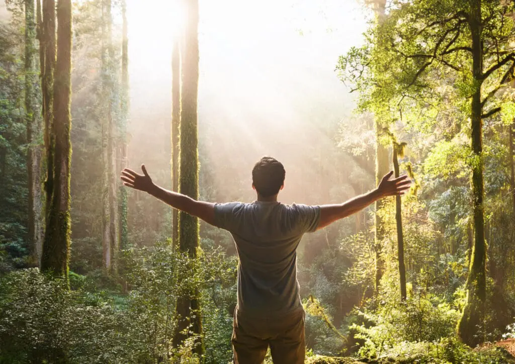 AI image of a man in a forest with arms outstretched