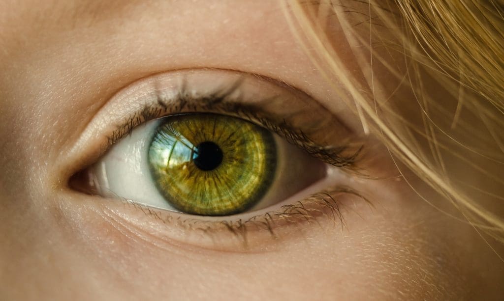 Eye image showing pupil